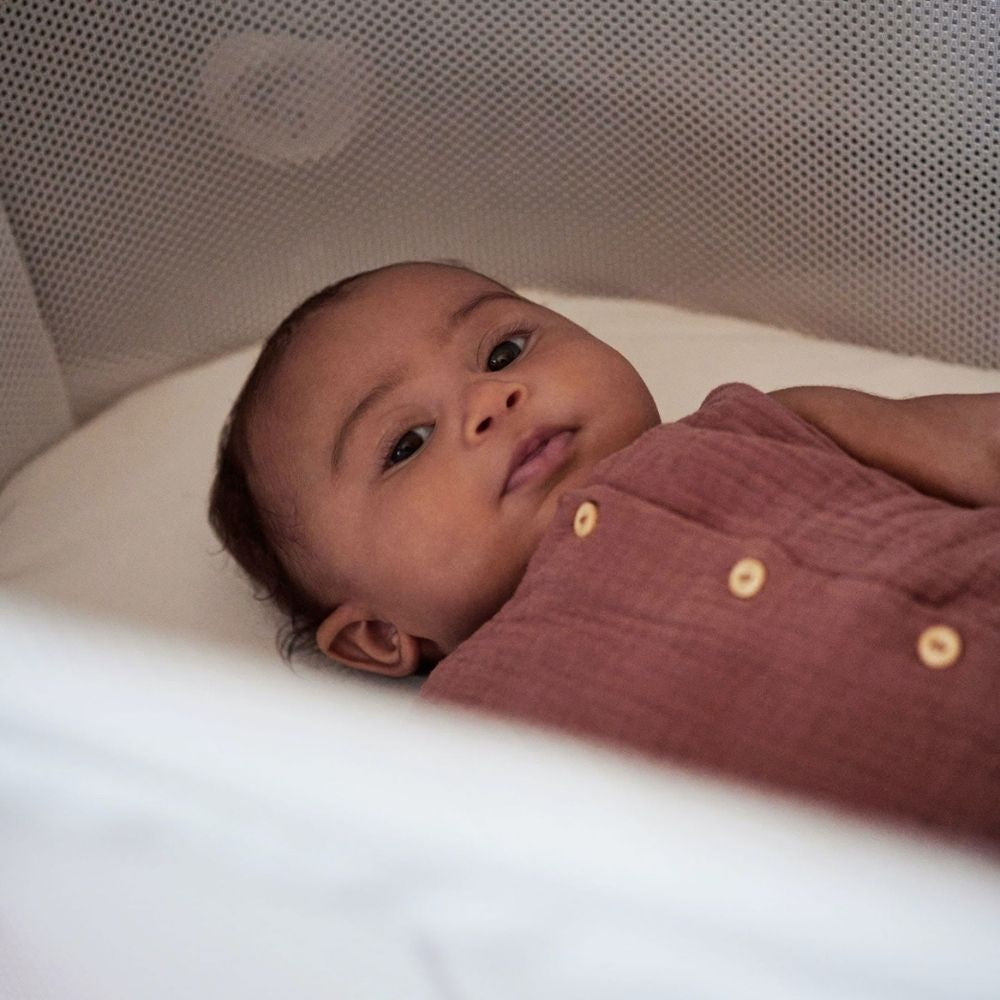 Baby Bjorn Cradle - PramFox Singapore