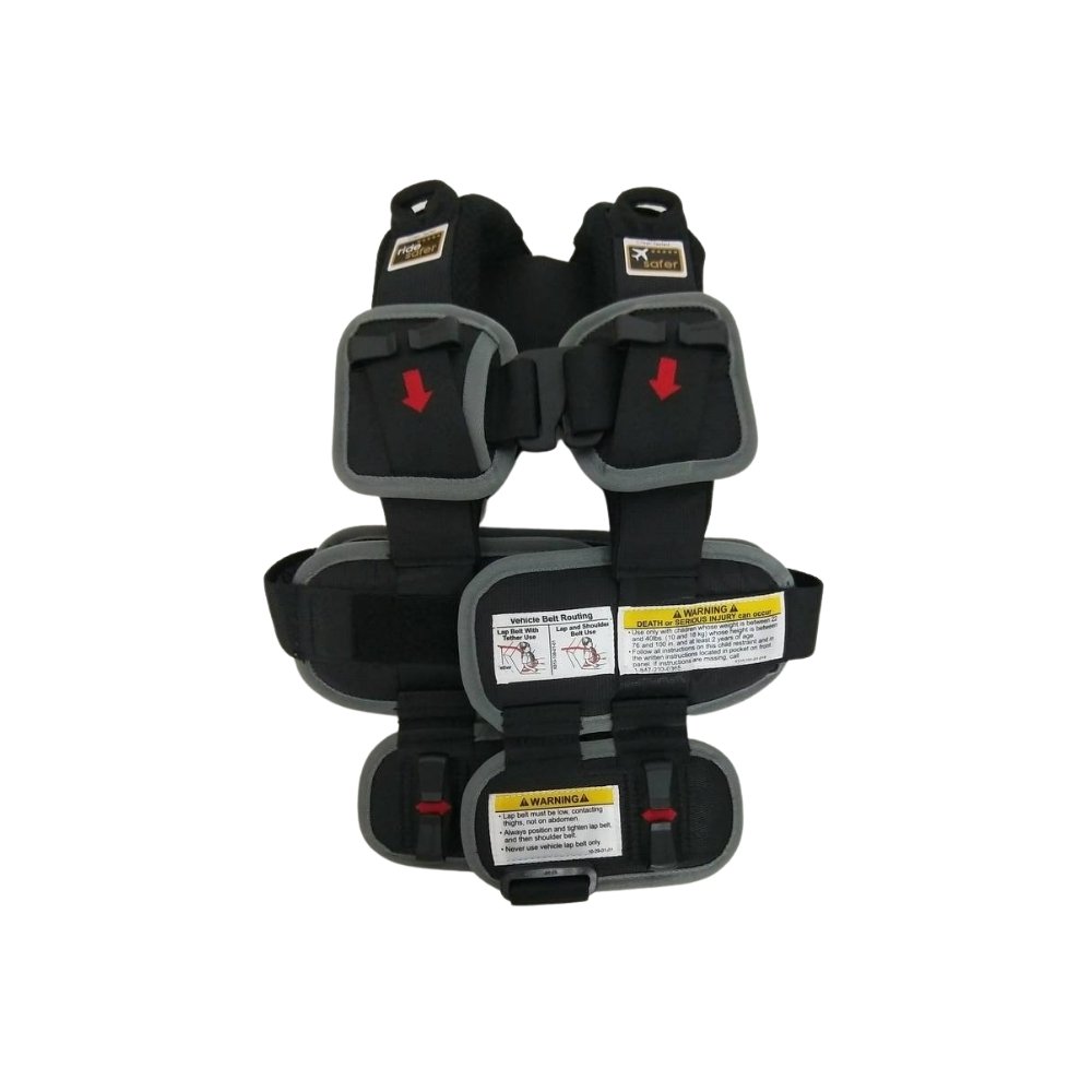 RideSafer Delight - PramFox Singapore