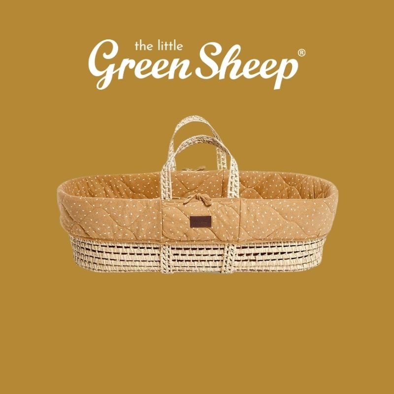 The Little Green Sheep | PramFox Singapore