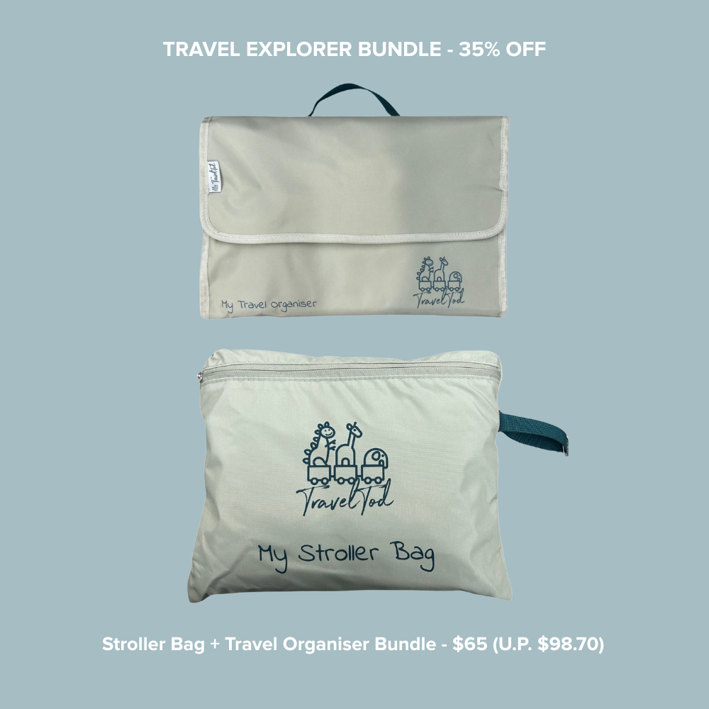 TravelTod Universal Stroller Bag