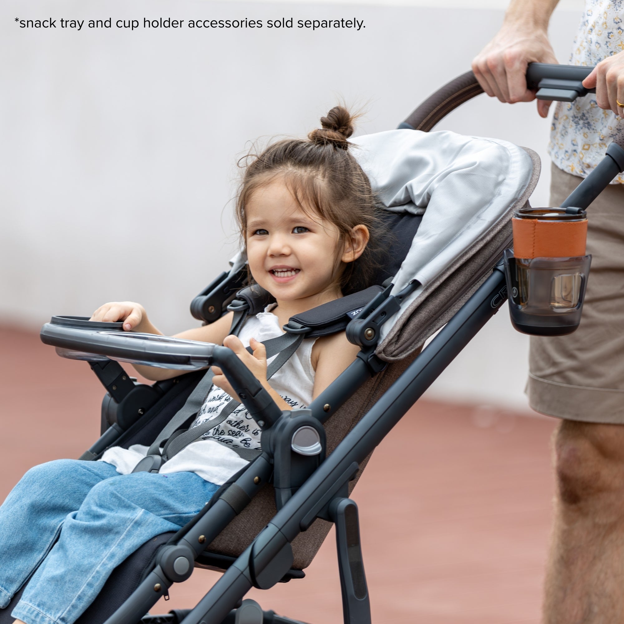 UPPAbaby CRUZ V2+ Stroller