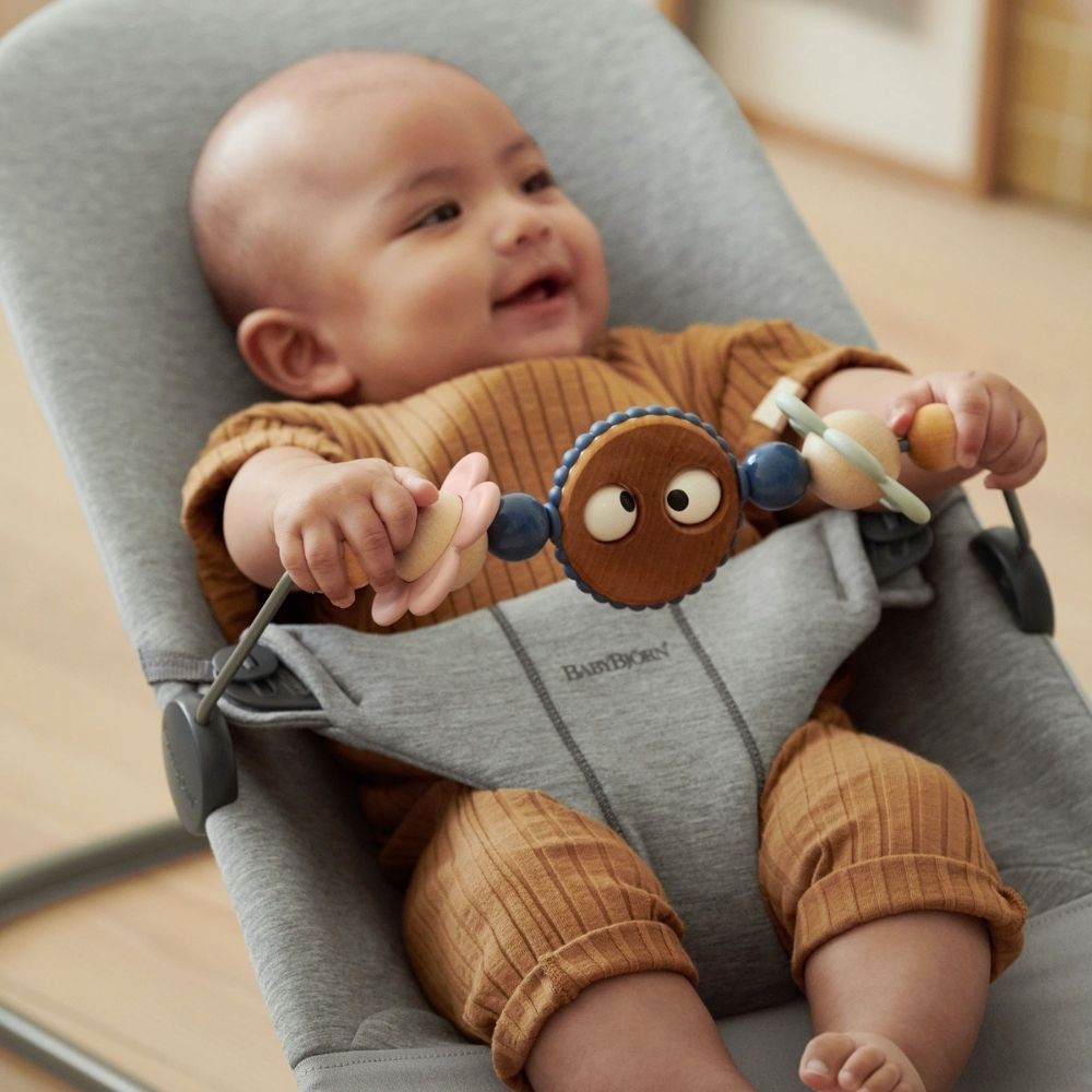 Baby Bjorn Toy For Bouncer - PramFox Singapore