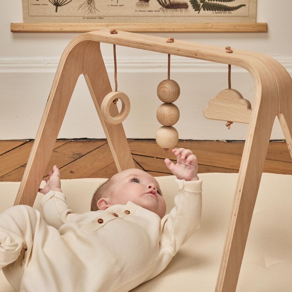 Charlie Crane NAHO Activity Arch - PramFox Singapore