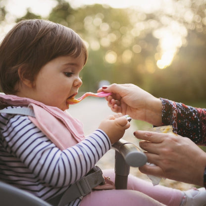 Stroller & Car Seat Cleaning - PramFox Singapore